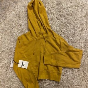 Sunday Best (aritzia) cropped hoodie